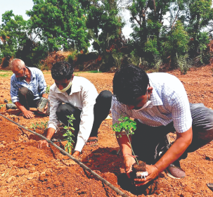 Over 2 lakh annual volunteering hours for environmental impact