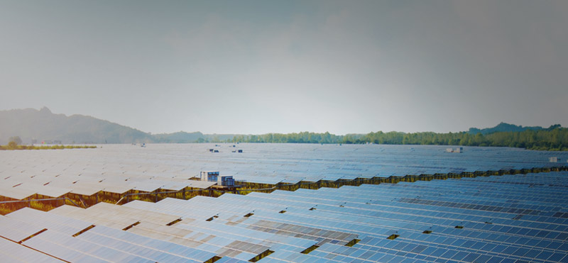 Close Up View of Solar Panel Farm