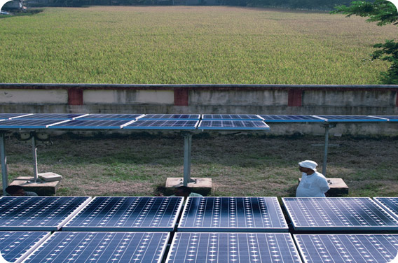 Solar Panels Kept on a Stand